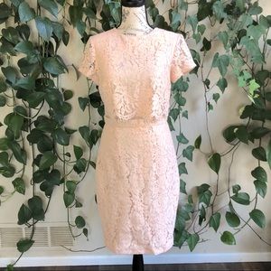 ASOS Blush Pink Lace Dress | 6